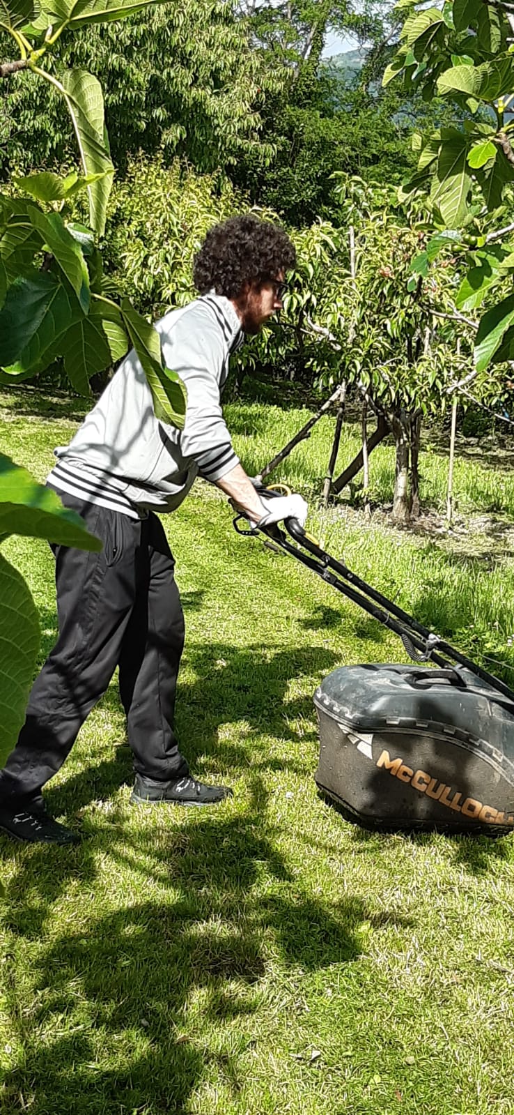 Nuovo Servizio Di Ritiro Gratuito Di Sfalci E Potature A Domicilio